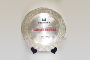2009�й���߹�ģ����Ƶ�
