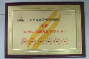 2010����̫��****��ɫ�����Ƶ�ƺ�
