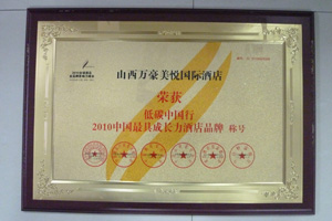 2010�й���߳ɳ���Ʒ�Ƴƺ�